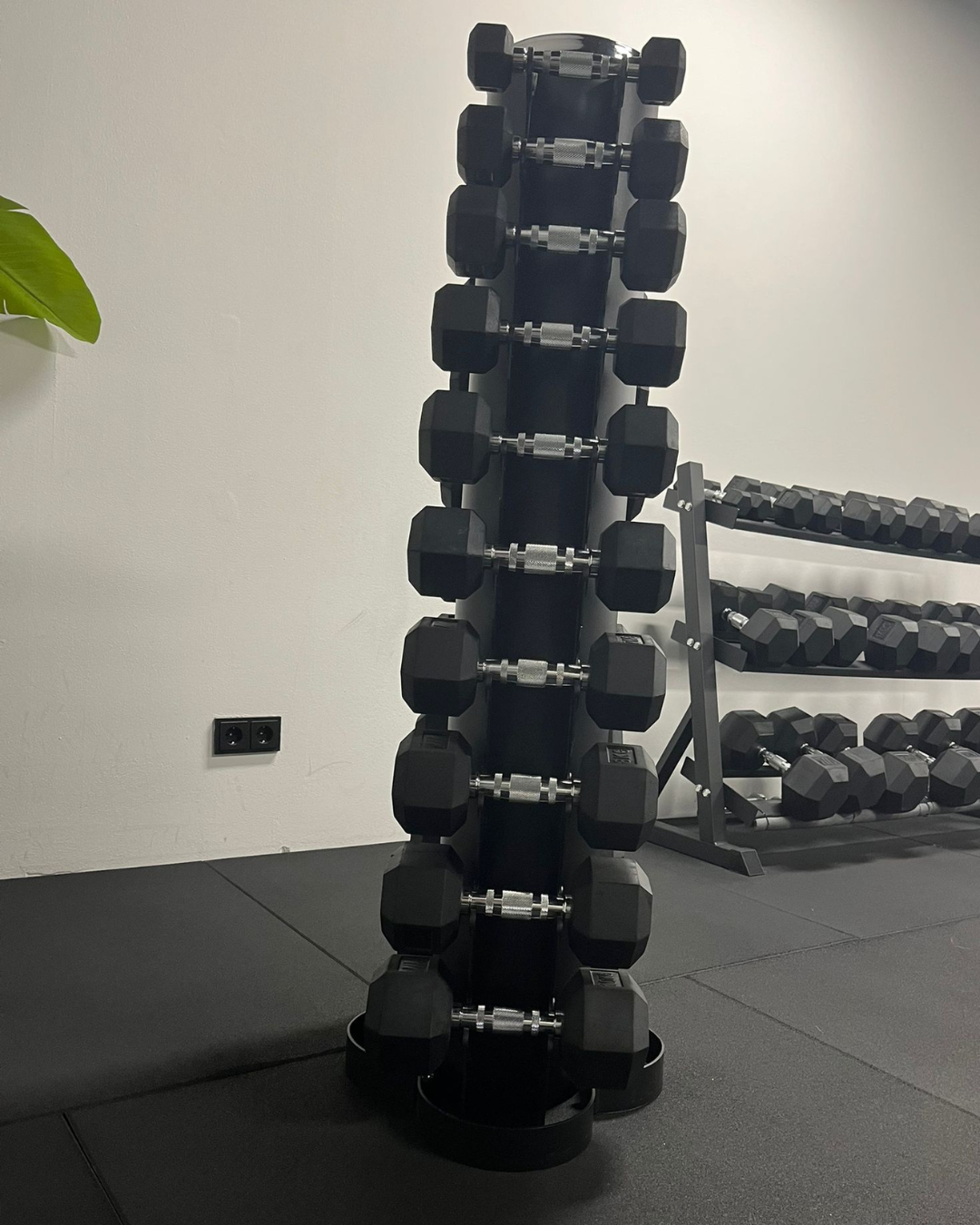 Premium Hexagon dumbbells | set 1-10kg inclusief opslagrack