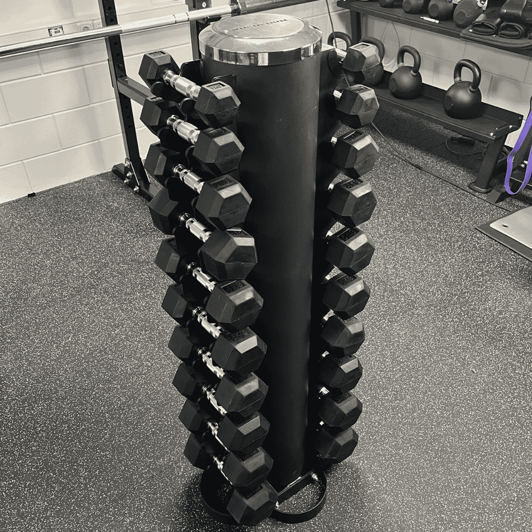 Premium Hexagon dumbbells | set 1-10kg inclusief opslagrack