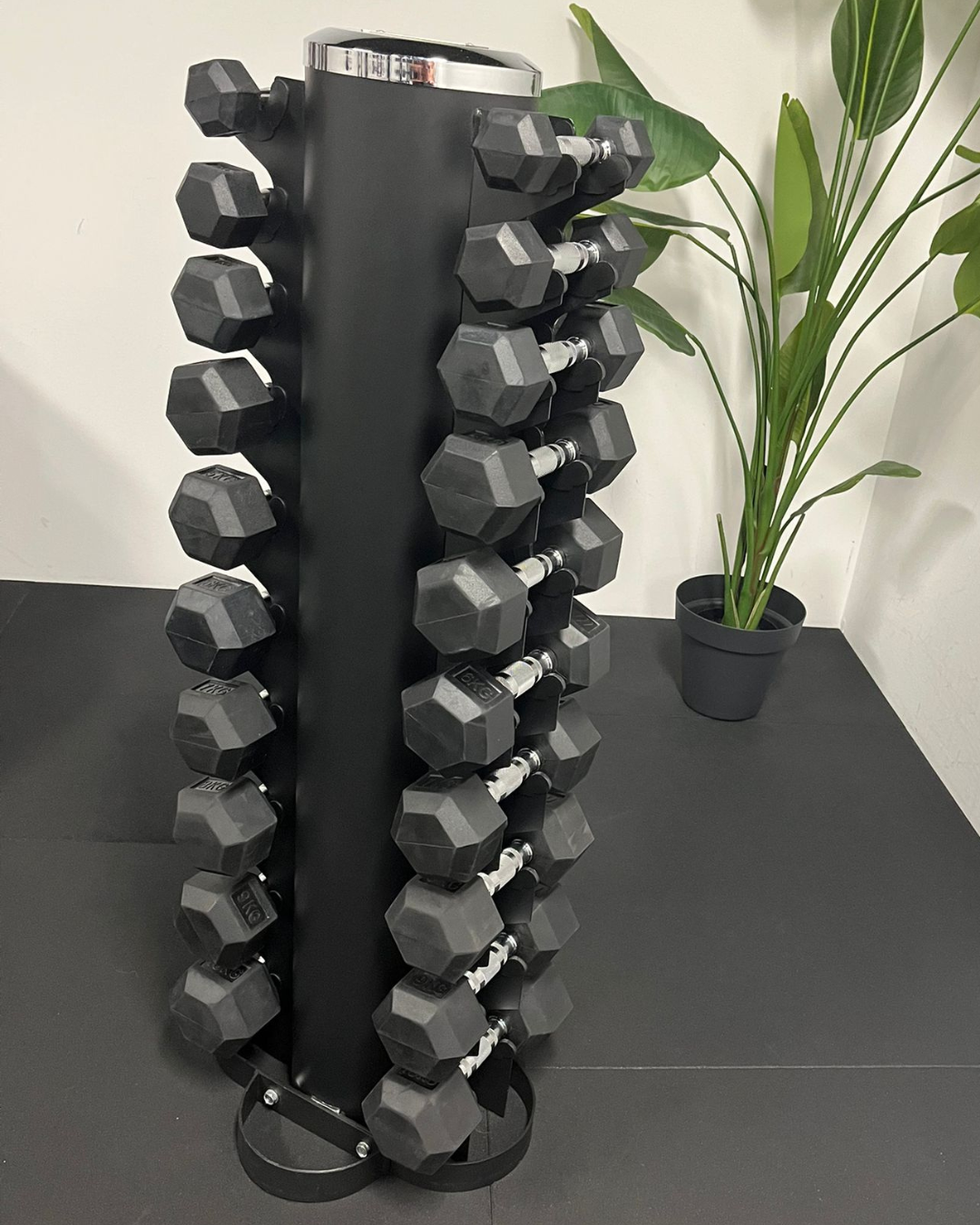 Premium Hexagon dumbbells | set 1-10kg inclusief opslagrack